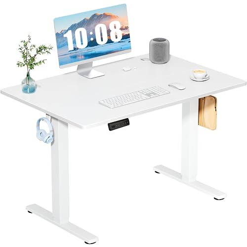 Modern DUMOS 40 Inch Electric Standing Desk Height Adjustable, Sit for Daily Use